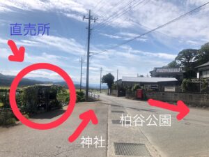野菜の無人直売所001